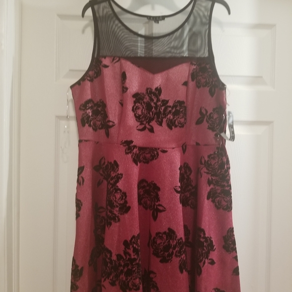 Rixxi Dresses & Skirts - Red & Black NWT Floral Lace Sheer Dress 1X